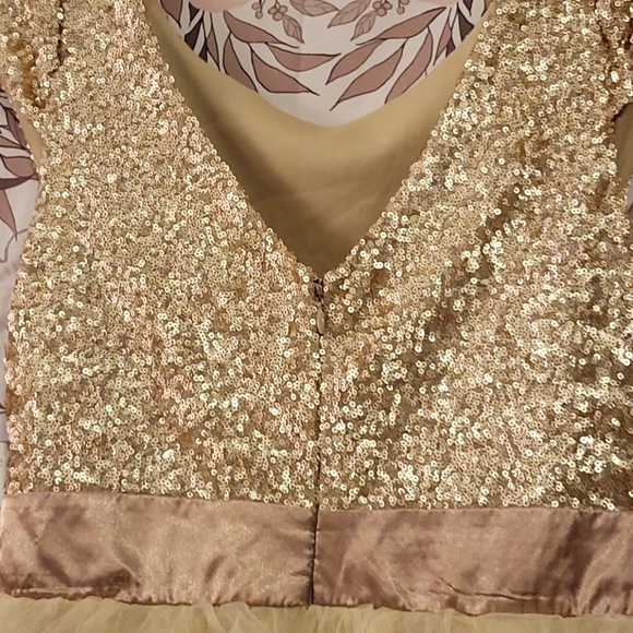 NWT Gold Sequin Tulle Dress - Picture 4 of 7